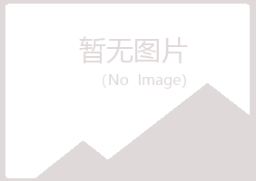 百色右江紫山能源有限公司